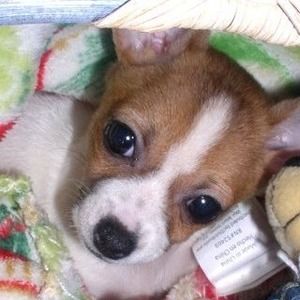 Meet your Posher, Deborah